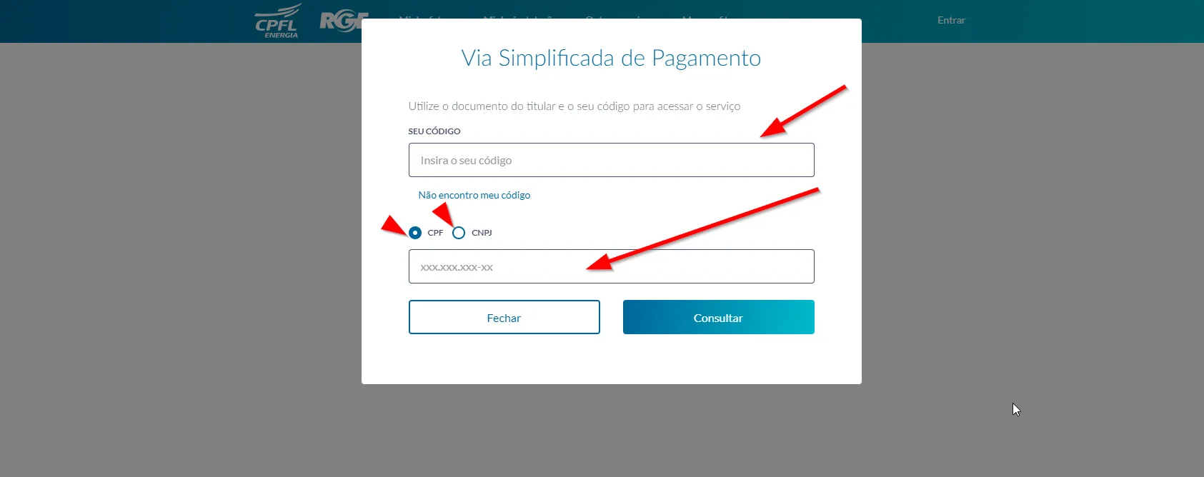 CPFL como emitir site oficial