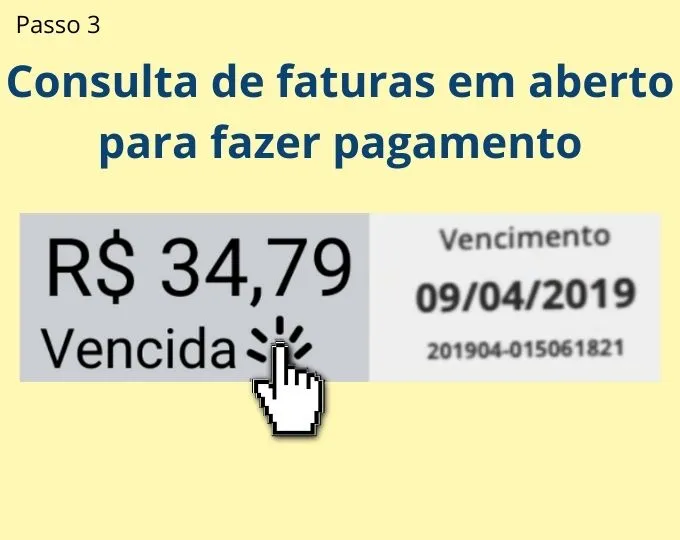 consulta fatura